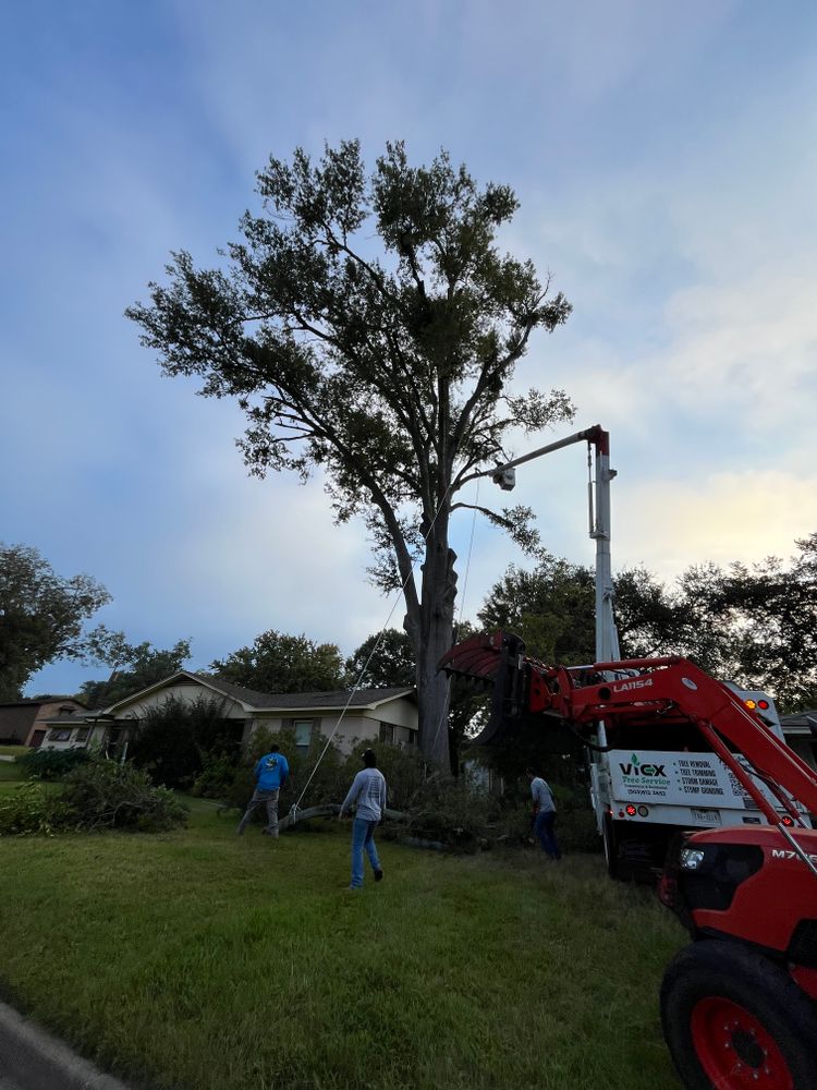 All Photos for JC Land and Tree Service in Kilgore, TX
