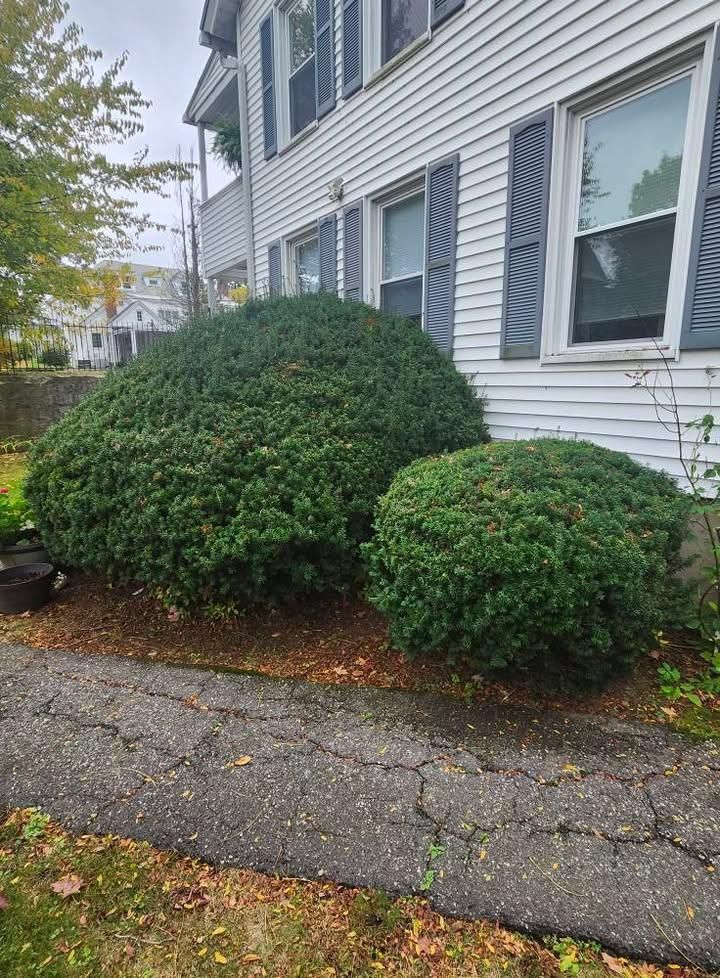 All Photos for Landscape Innovations LLC in Torrington, CT