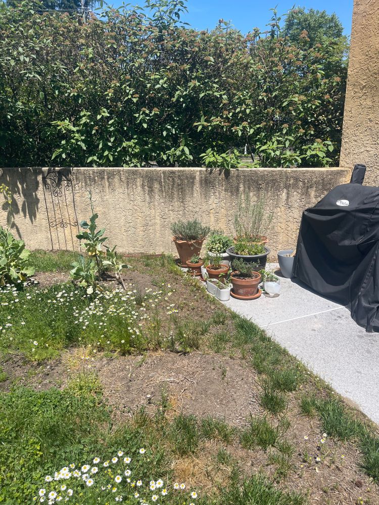 All Photos for NCR Power Washing in Gloucester City, NJ