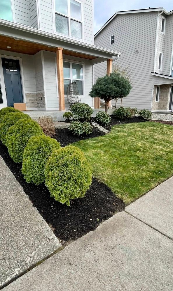 Our Tree & Shrub Care service keeps your landscape healthy, attractive, and thriving with expert pruning, fertilization, disease management, and seasonal maintenance designed to protect and enhance your property’s beauty. for B.U Landscaping in Everett, WA