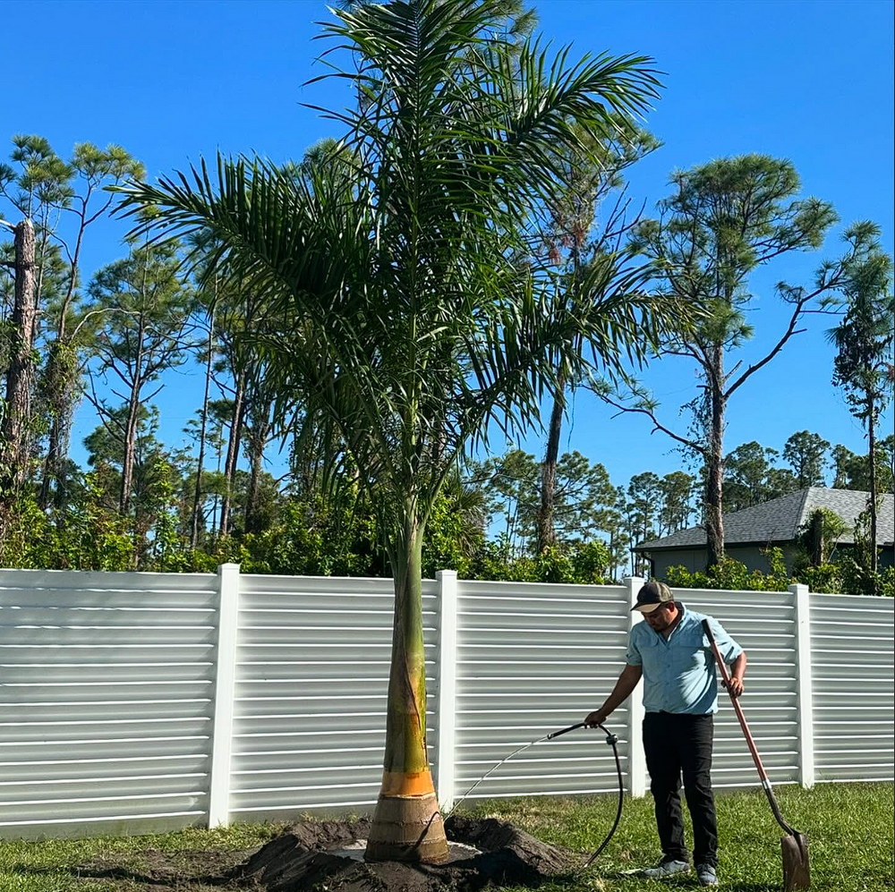 Landscaping for Plant World LLC in Cape Coral, FL