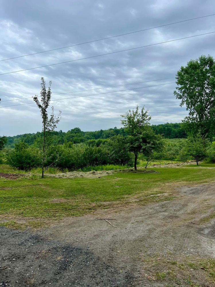 All Photos for Bishop’s Property Maintenance in Franklin, VT