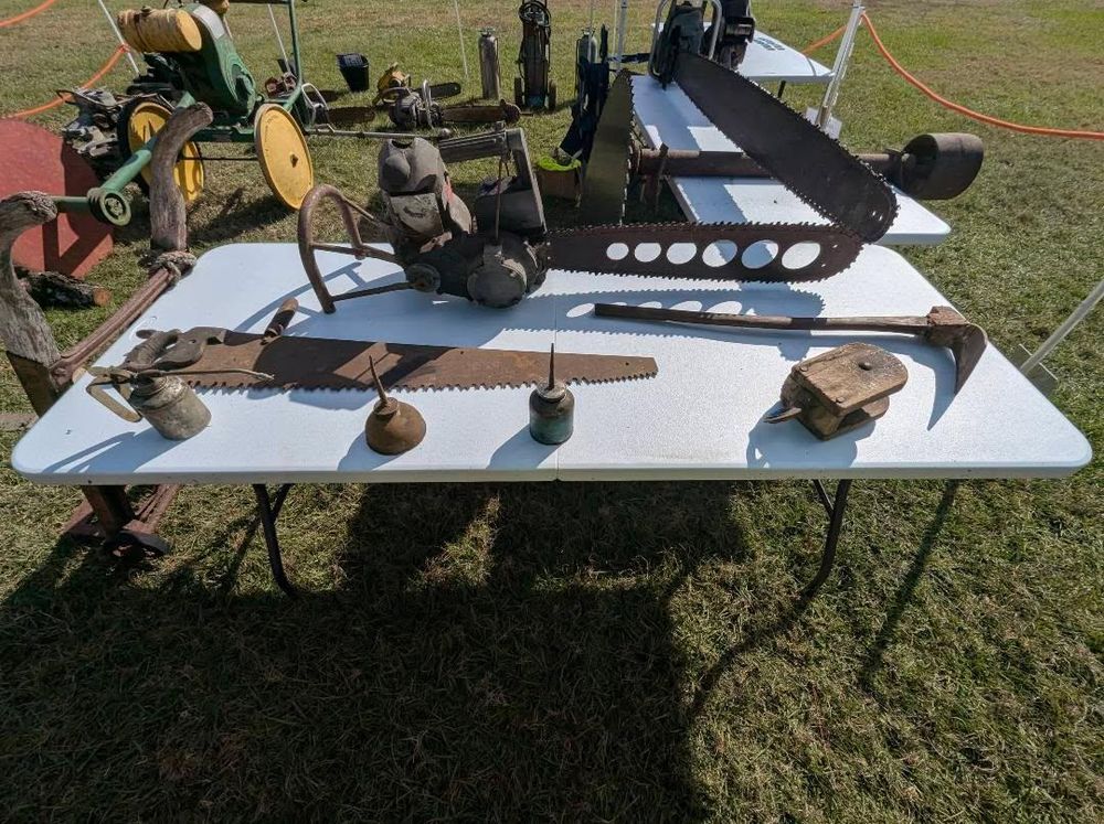 All Photos for Regal Tree Service and Stump Grinding in Wauchula, FL