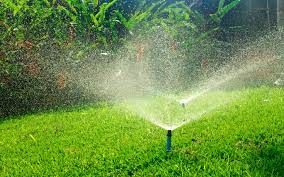 All Photos for Phillips Lawn Services in Ravenna, MI