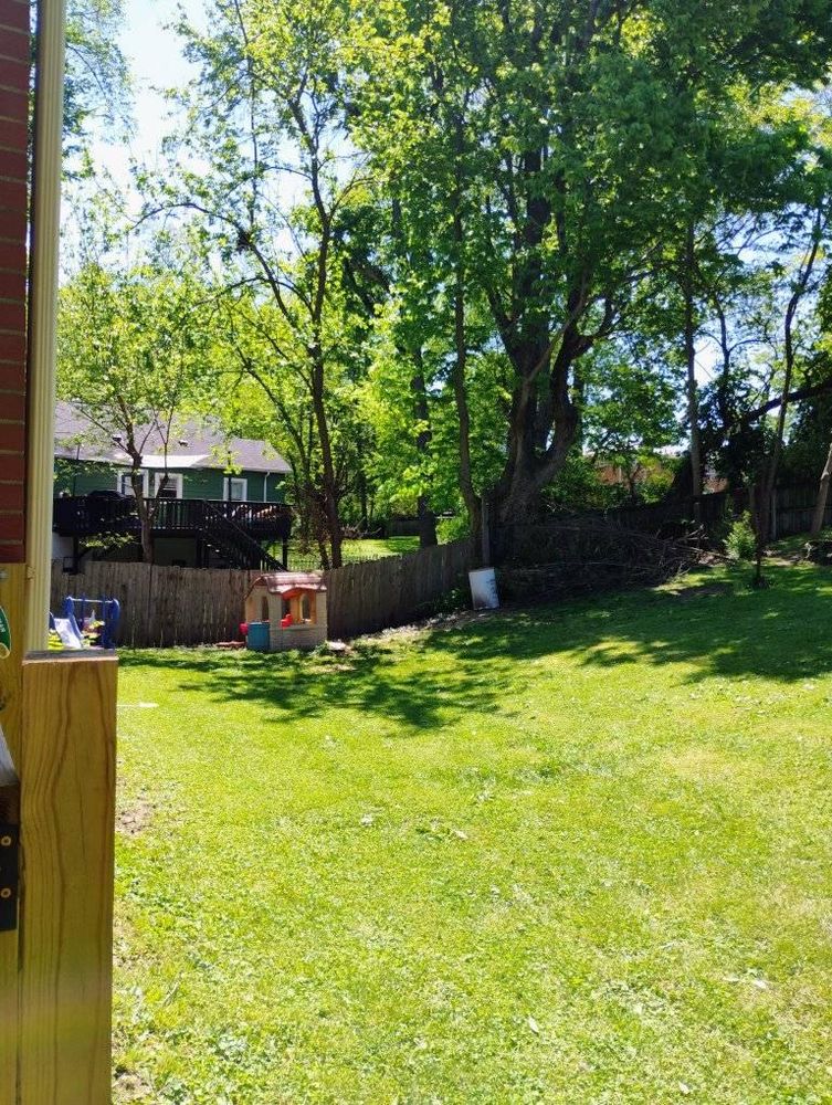 All Photos for Kingdom Tree Trimming and Removal LLC in Covington, KY