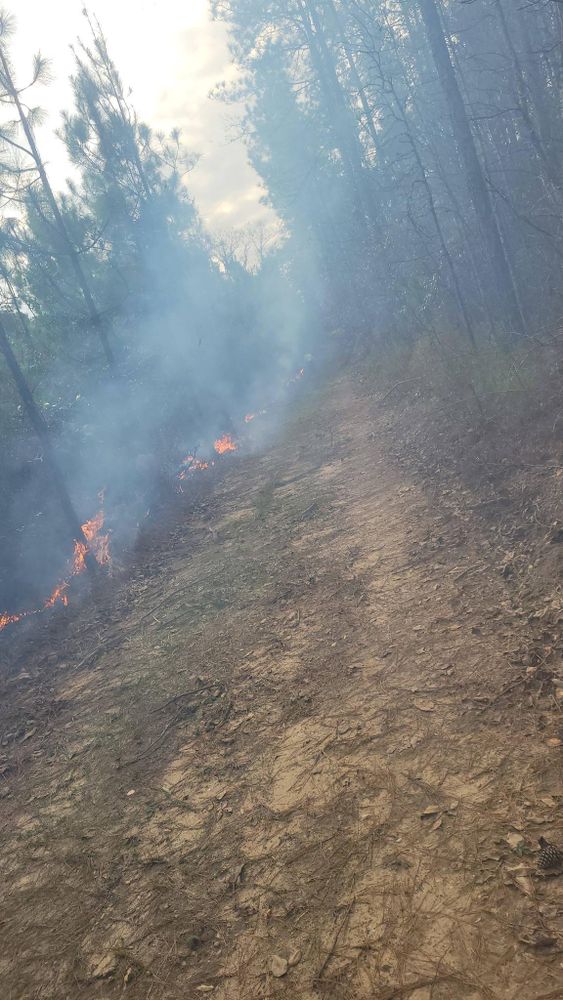 All Photos for Davis Landworx in Clanton,  AL