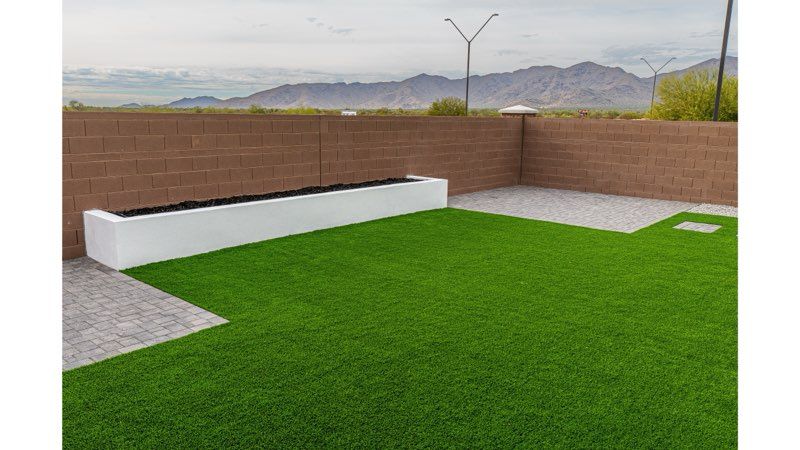 All Photos for All Green Landscapes in Phoenix, AZ