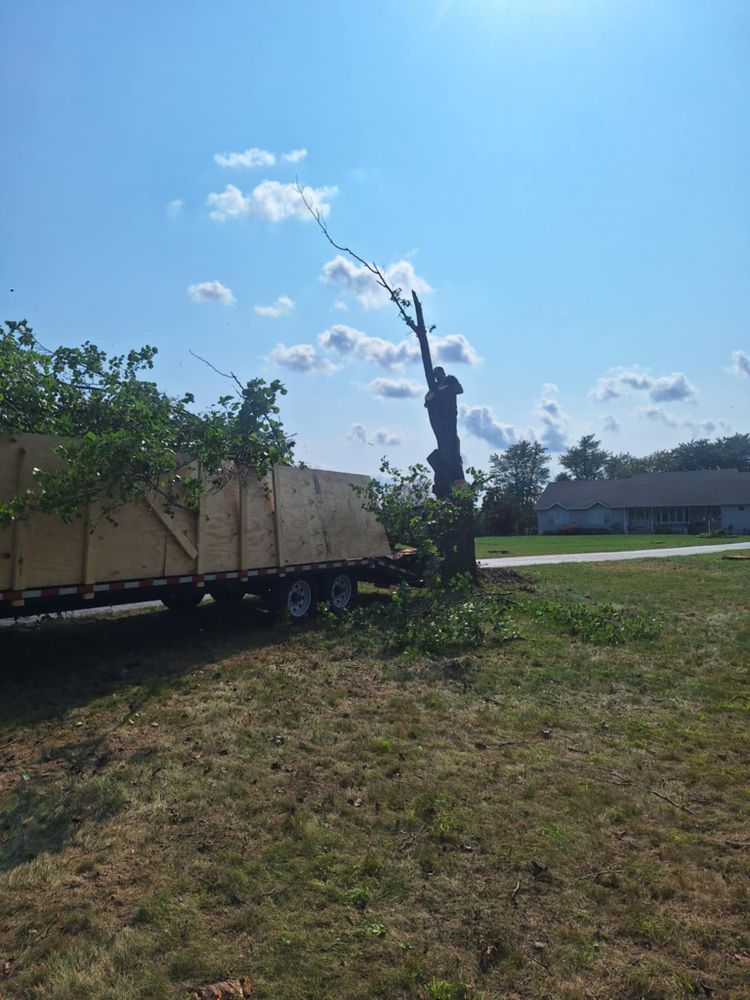Emergency Storm Work for Highborn Tree Service in Wheatfield, IN