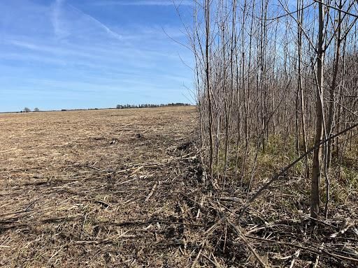 All Photos for KG Ground Development and Transportation in Newton, IL