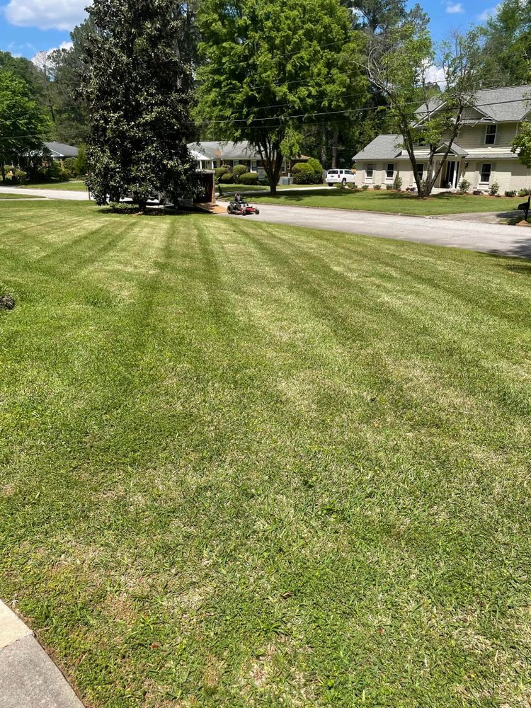 Landscaping for Sparks Landscaping in Augusta, GA