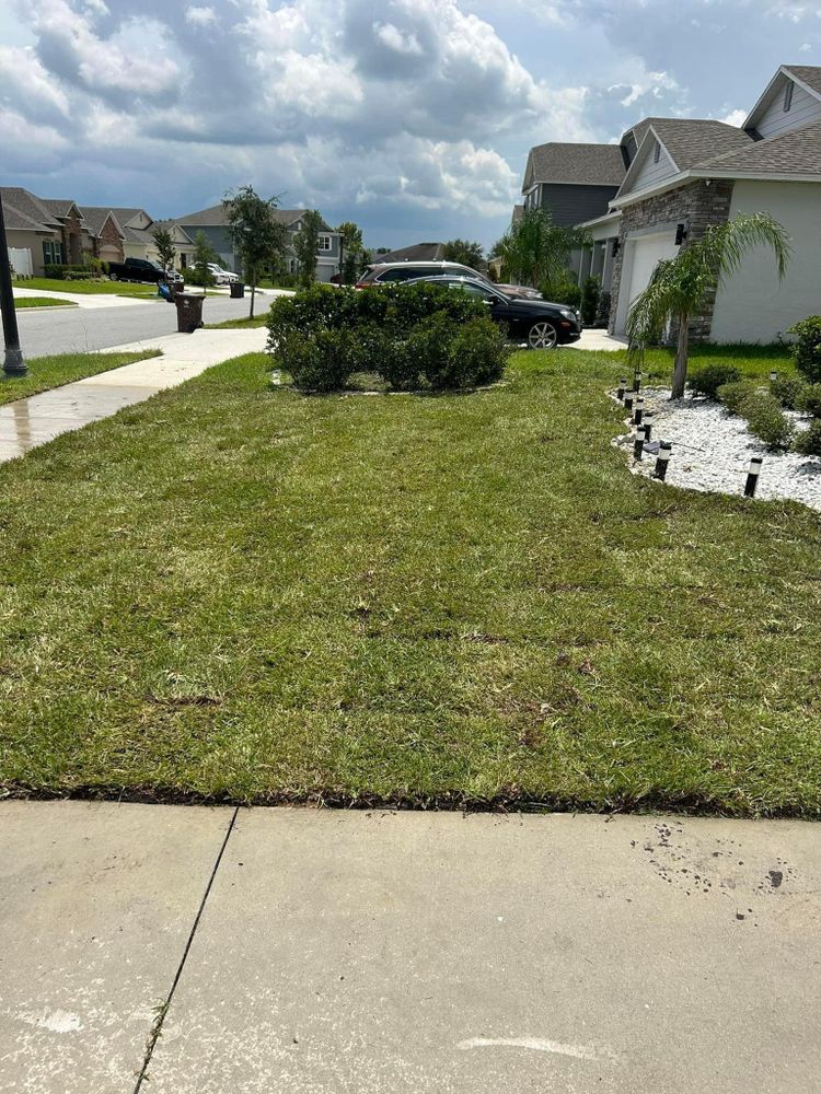 All Photos for Estrada All Pro Lawn Service in Auburndale, Florida