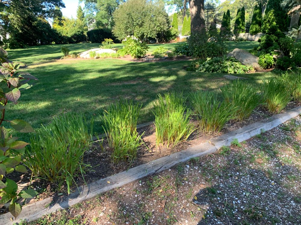 All Photos for Lawn Shark Landscaping in Monument Beach, MA