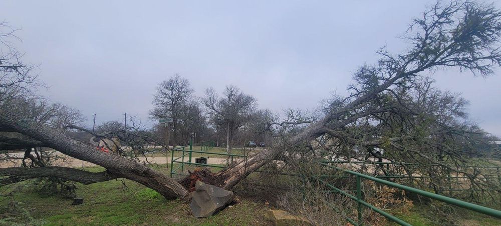 Lawn Care and Maintenance for Texican JLS in Manor, TX