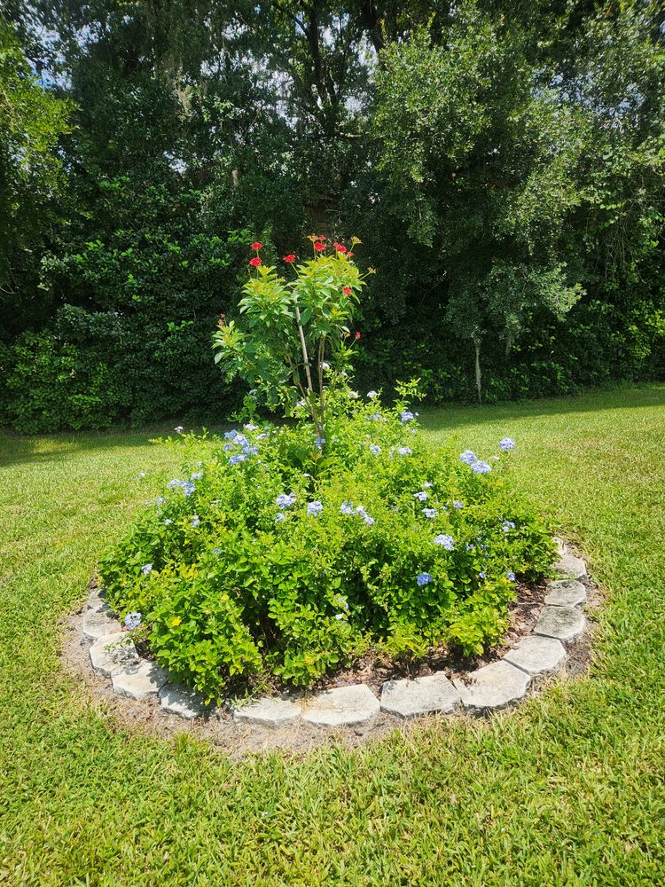 All Photos for Nate the Garden Guru in Orlando, FL