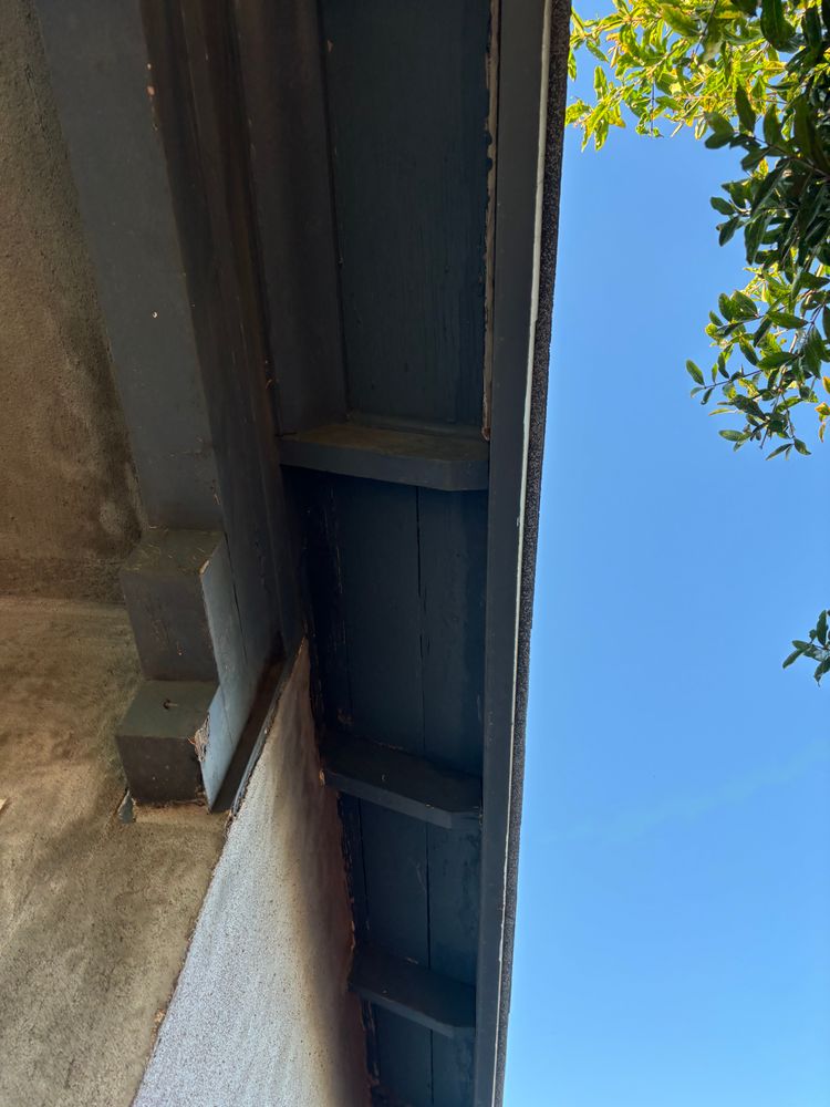 All Photos for Angel1Stop in Orange County, CA