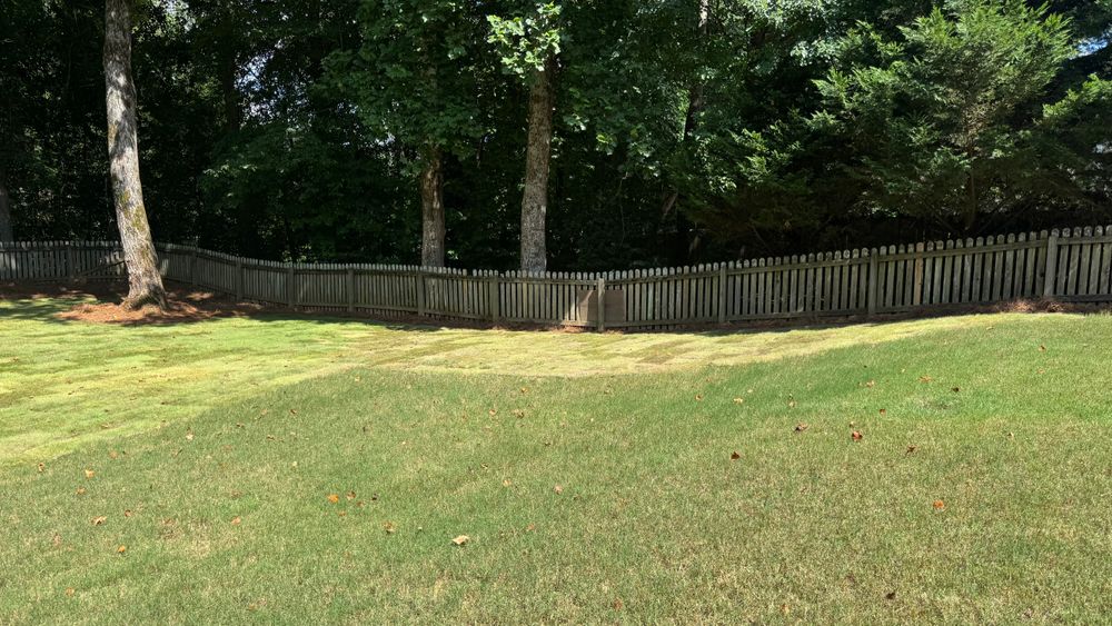 All Photos for Capital GREEN in Atlanta, GA