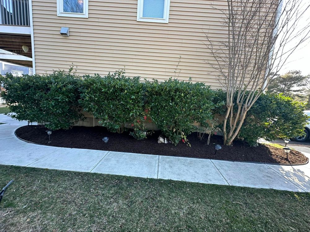 All Photos for Alex’s Grass Care in Salisbury, MD
