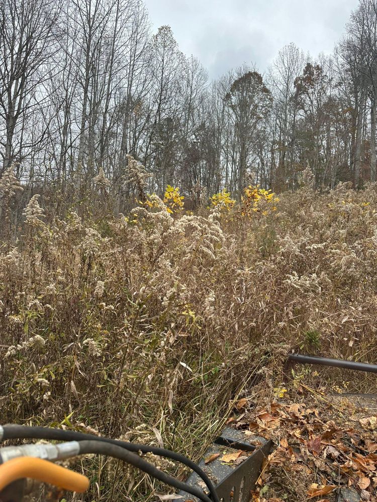 All Photos for Excavation Innovations in Rogersville, TN