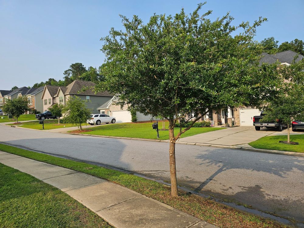 All Photos for 1 Man Does It Lawn Service in Blythewood, SC