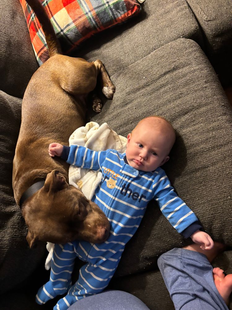 All Photos for Personal Touch General Contractor in Galax, VA