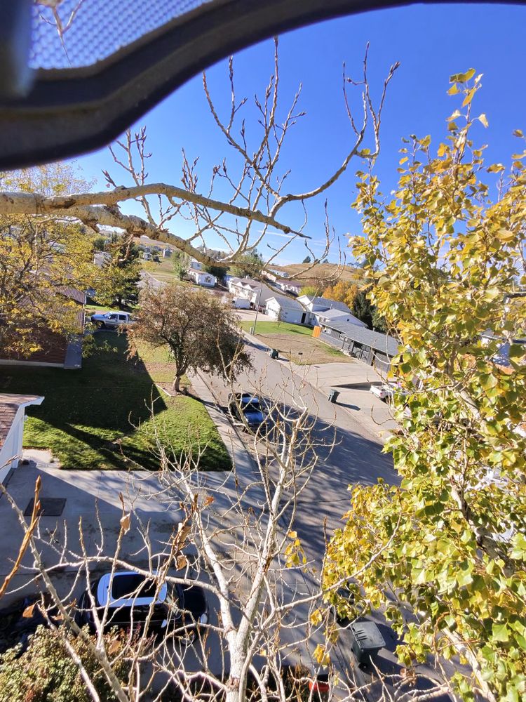 All Photos for Elevated Tree Care in Gillette, WY