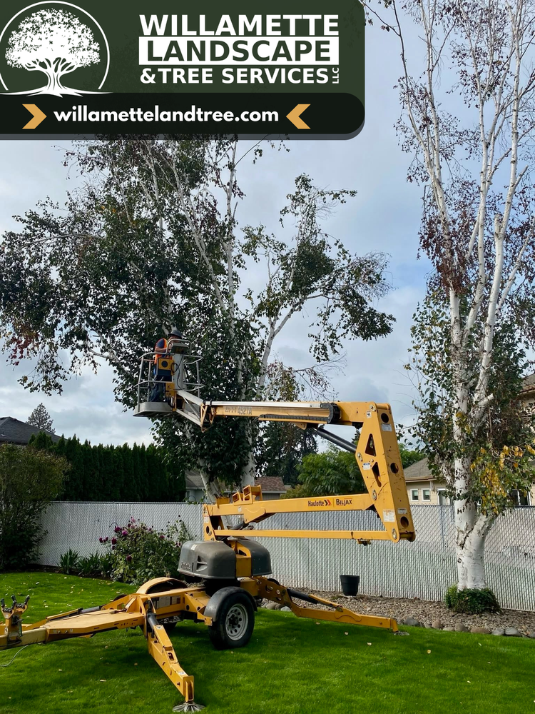 All Photos for Willamette Landscaping & Tree Services in Albany, OR