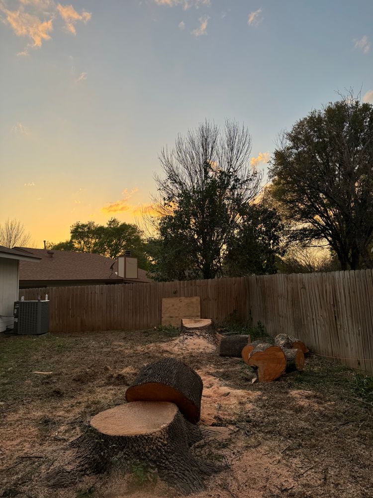 All Photos for Z’s Trees LLC in Grey Forest, TX