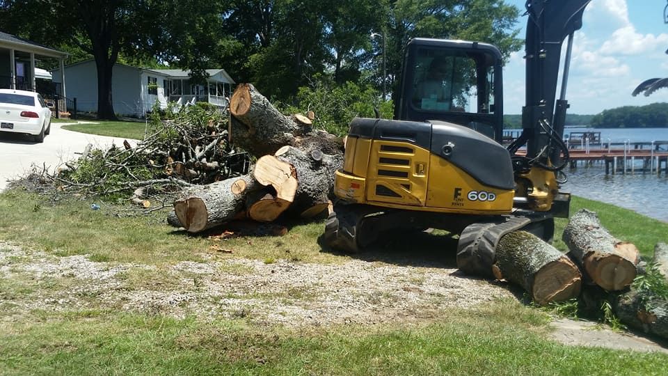 Our Tree Removal service offers safe, efficient removal of unwanted or hazardous trees, utilizing professional equipment and skilled experts to enhance your property's appearance and maintain a safe environment for your home. for D&S Tree and Demolition Services in Laurens, SC