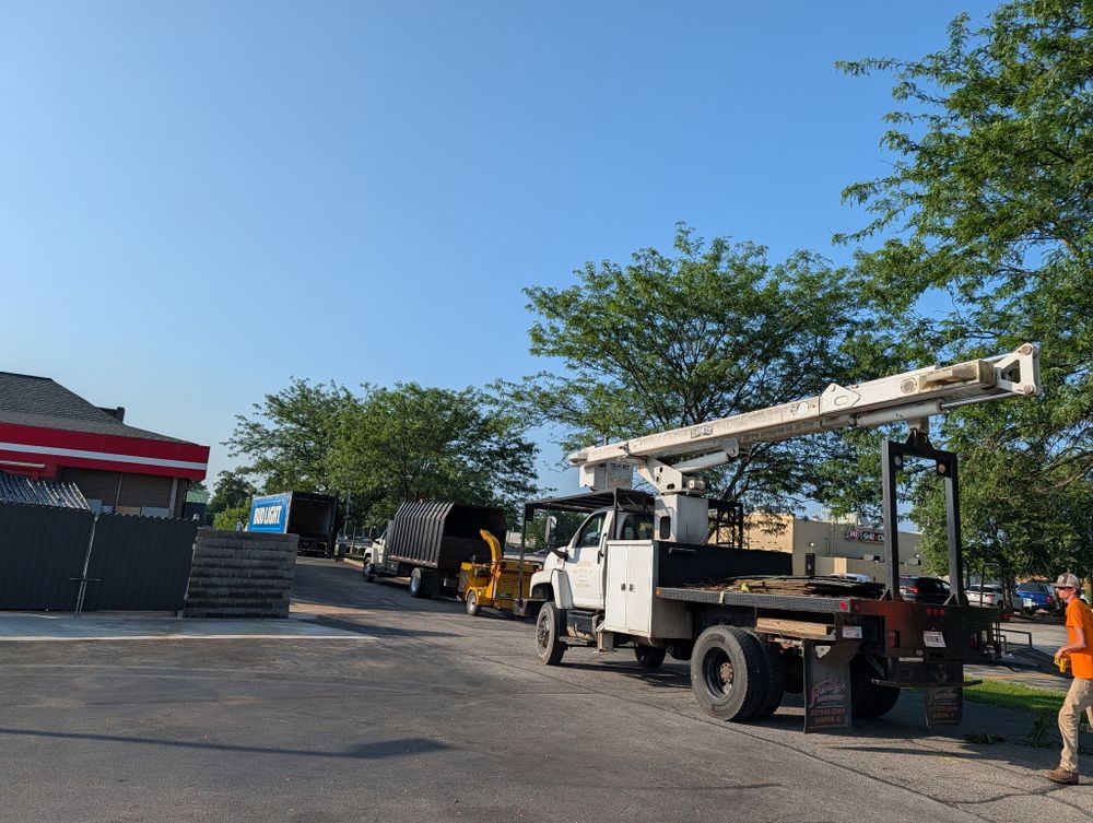 All Photos for Lightning Tree Service in Corydon, IN