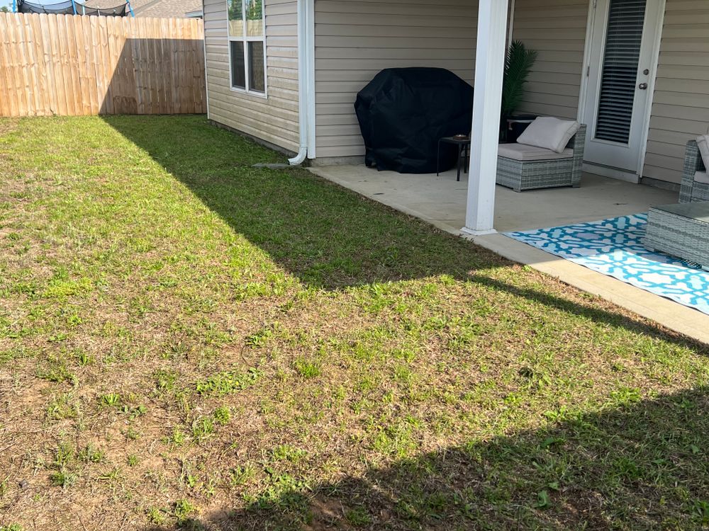Lawn Care for Lawn Dog Mowing and Lawn Services in Panama City, FL