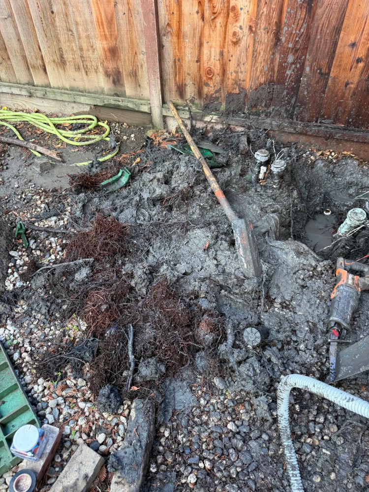 All Photos for CBA Landscaping in Hayward, CA