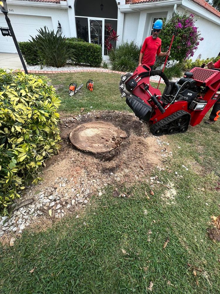 All Photos for TREE BOYS in Ruskin, FL