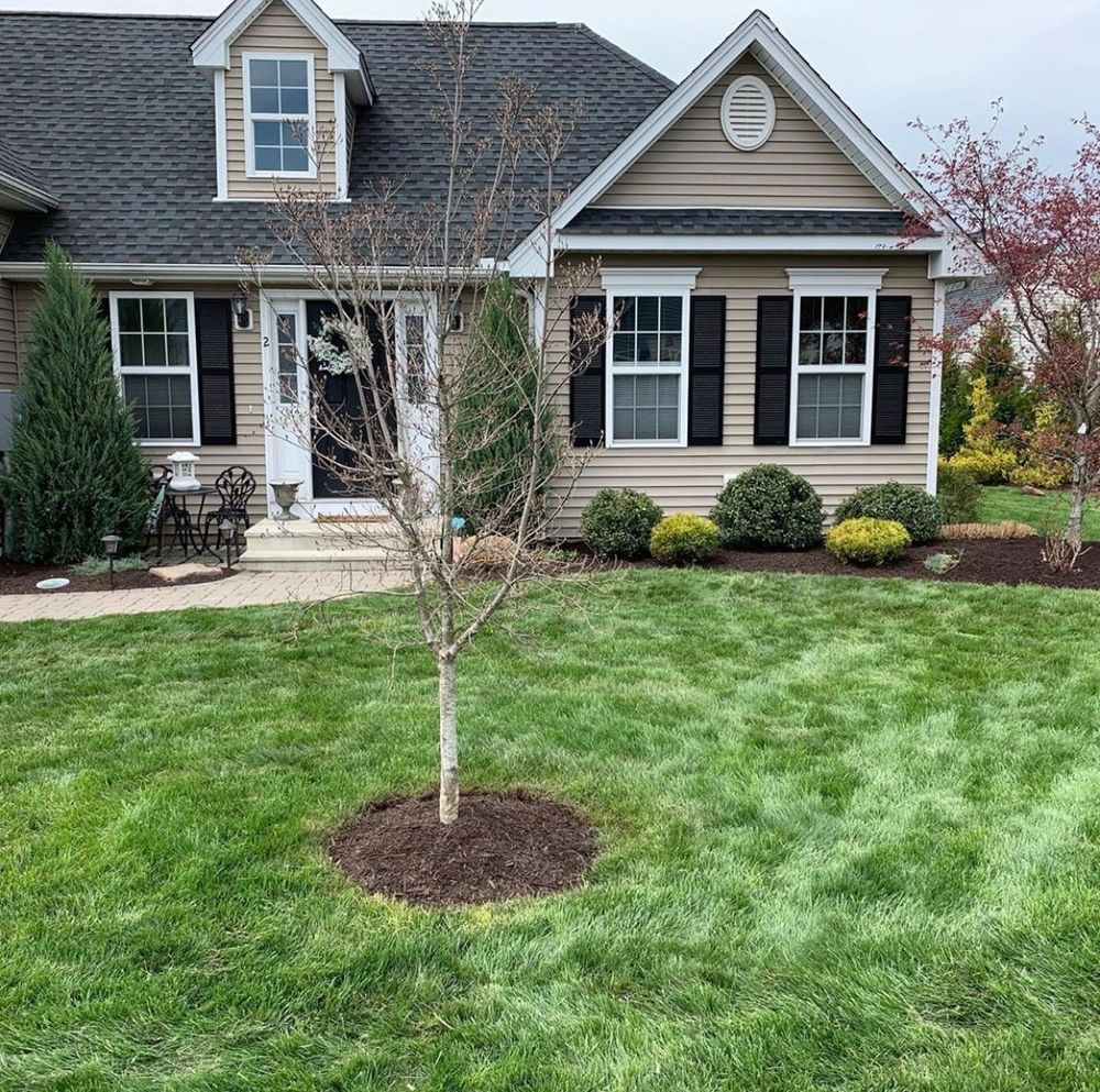 Landscaping for B&L Management LLC in East Windsor, CT