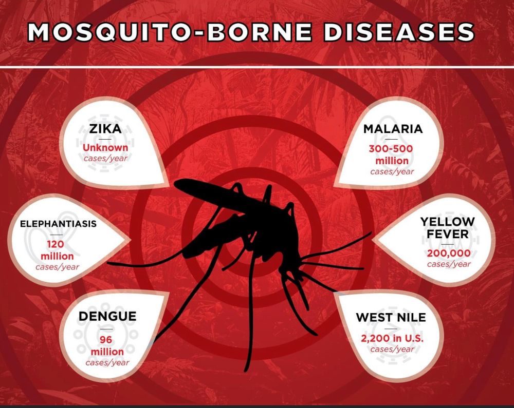 Mosquito  for All-In Pest Control & Home Solutions in Greene County, IN
