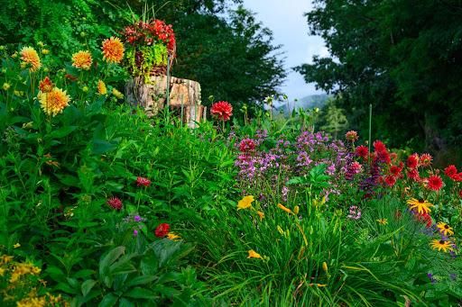 All Photos for Sustainable Property Services in Banner Elk, NC