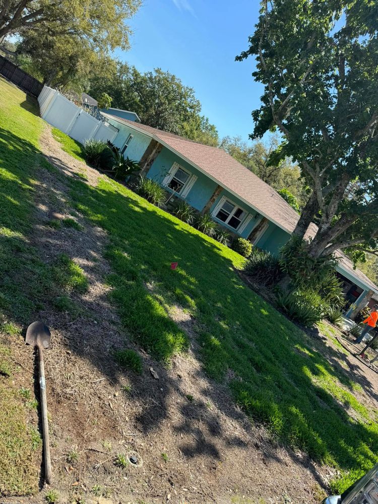 Lawn Maintenance for Duck's Lawn & Tree Service, LLC. in Lakeland, FL