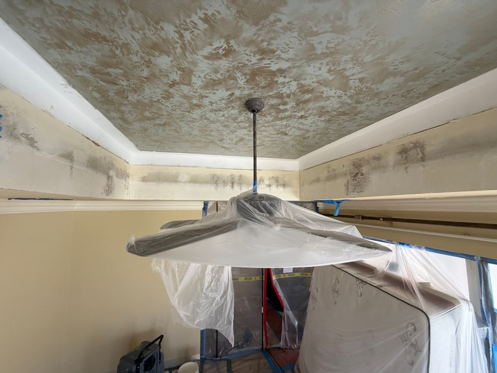 All Photos for N&D Restoration Services When Disaster Attacks, We Come In in Cape Coral,  FL