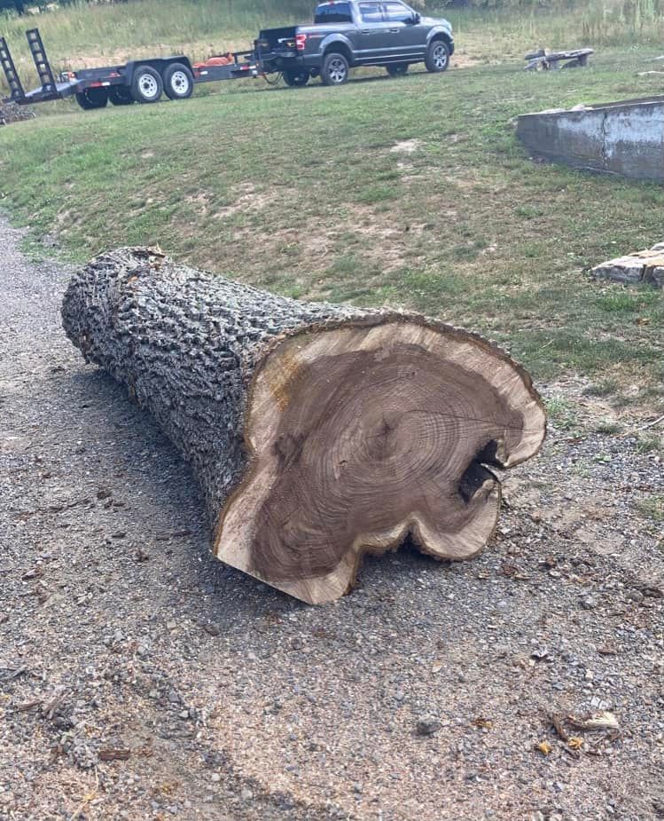 All Photos for NRV Tree Pro, LLC in Narrows, VA