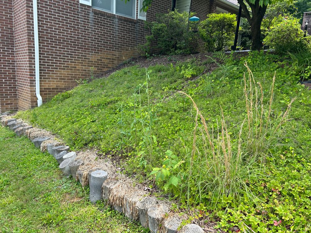 All Photos for Gatrell Landscape & Tree Removal in Bluff City, TN