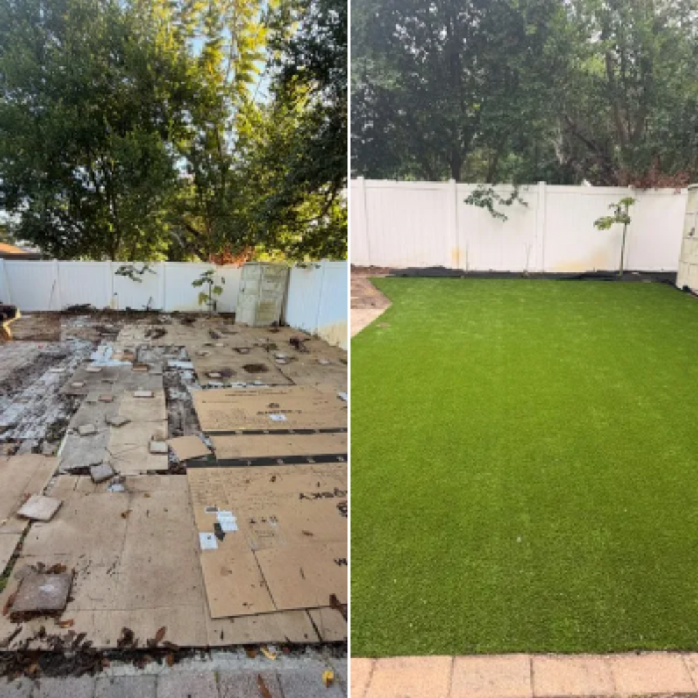 All Photos for Team Tolson Landscape in Tampa Bay, FL