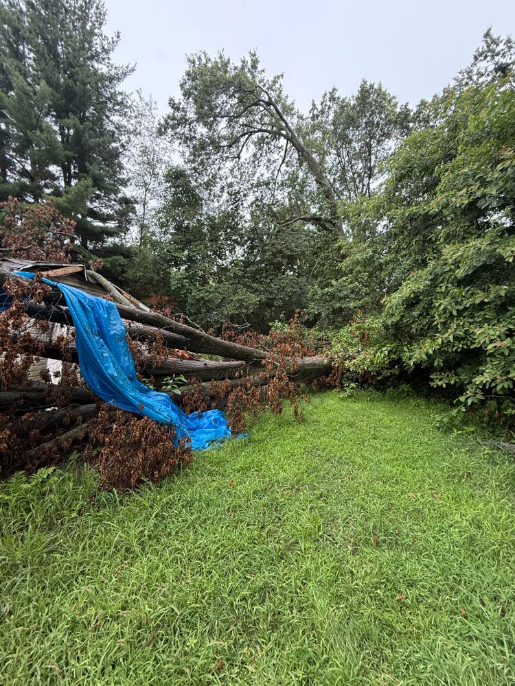 All Photos for Hunnicutt’s Tree Service L.L.C. in Monticello, IN