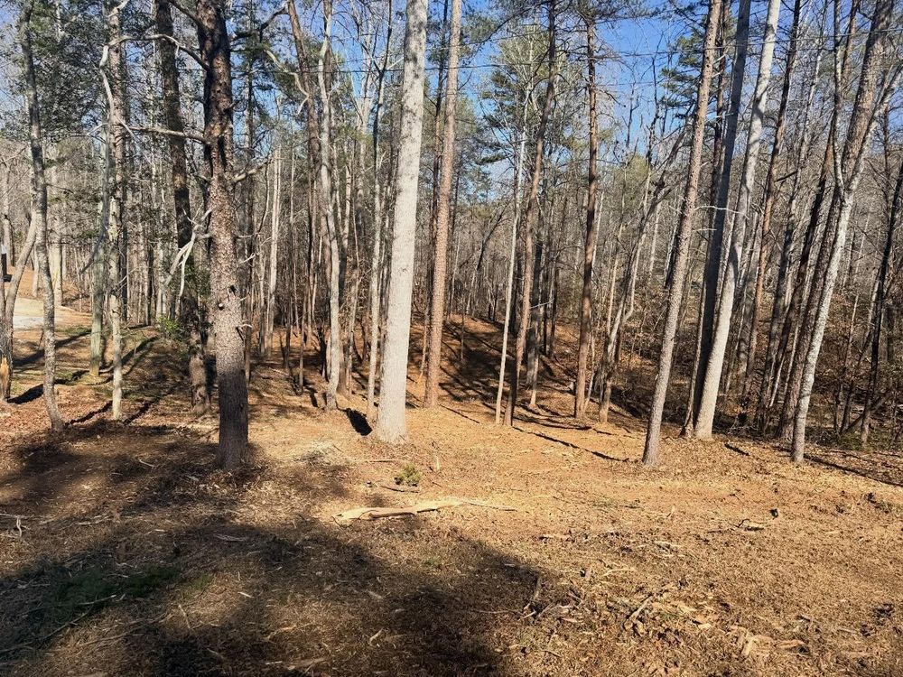 All Photos for T Crane Grading LLC in Clarkesville, GA