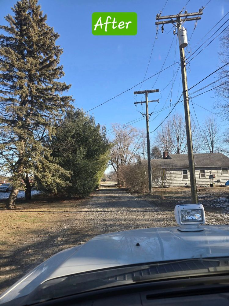 All Photos for D Hale Tree Service in Ann Arbor, MI