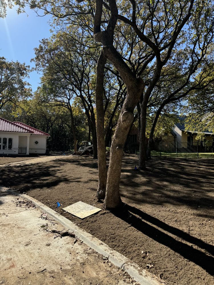 Seasonal color changes for Guerrero's Landscape in Fort Worth,  TX