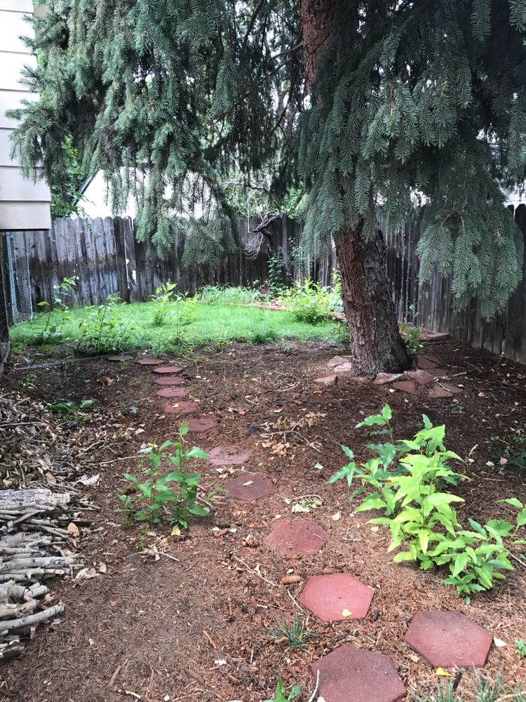 All Photos for Rock Masters Inc. in Evans, CO