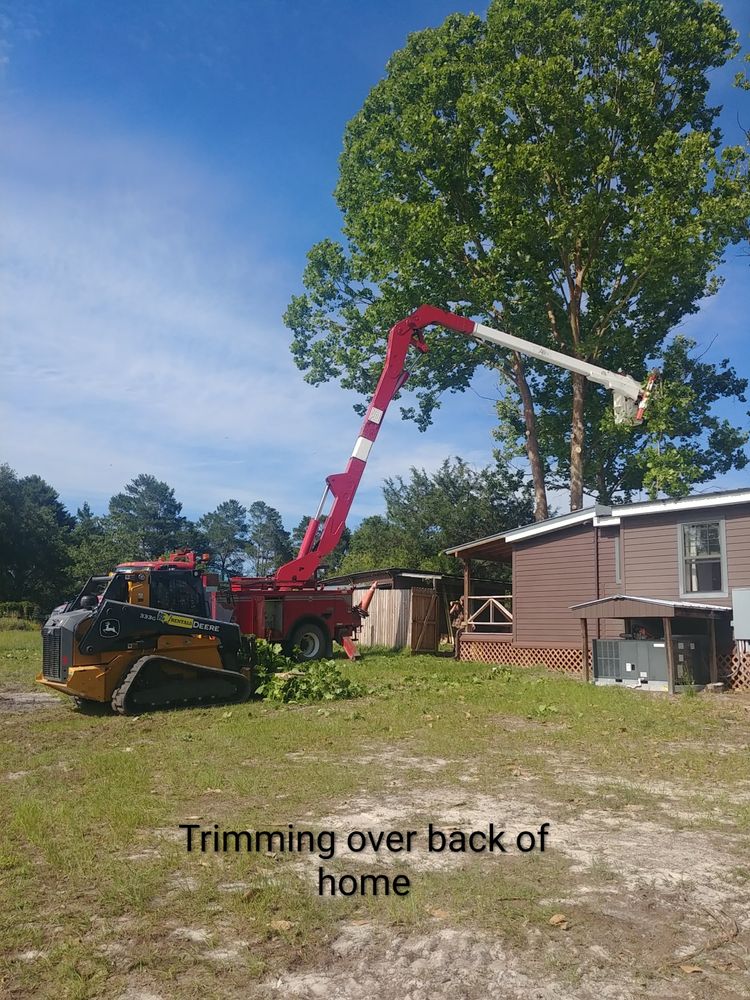 All Photos for Asbell's Tree & Land Services in Gilchrist County, FL