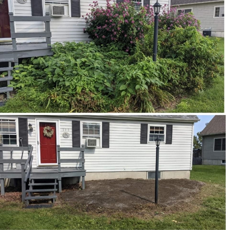 All Photos for TW Services in Oppenheim, NY