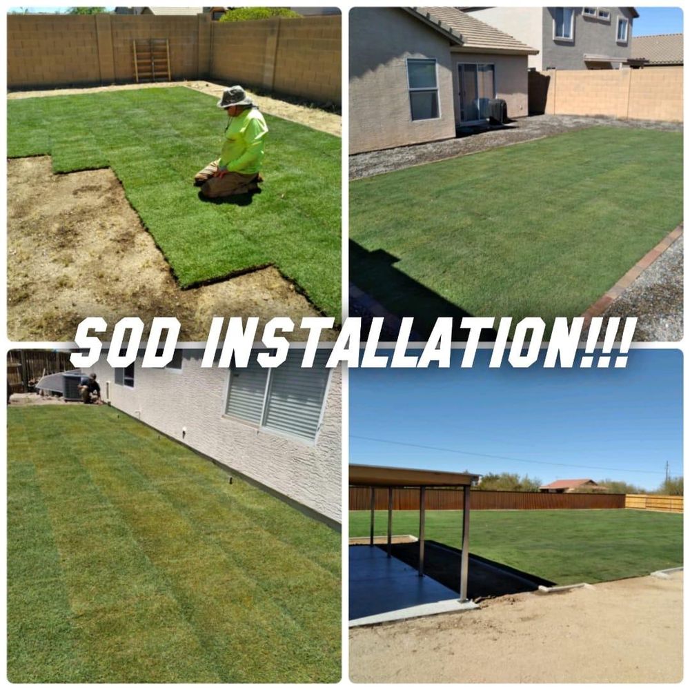 Commercial Lawn Maintenance for American Dream Landscape Company in Surprise, AZ