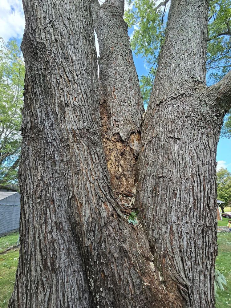 All Photos for M&L Lumber and Excavating in Jonesborough, TN