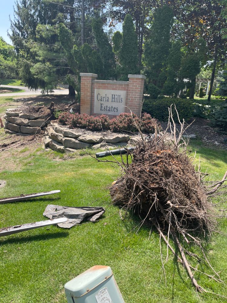 All Photos for Steed's Lawn and Landscape LLC in White Lake, MI